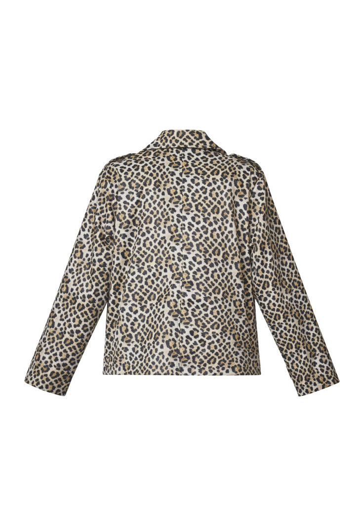Dar-Short1 Leo Trench