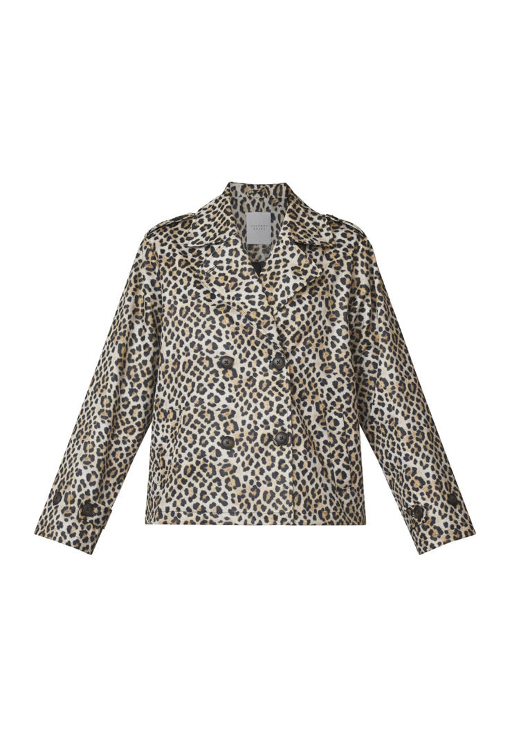 Dar-Short1 Leo Trench