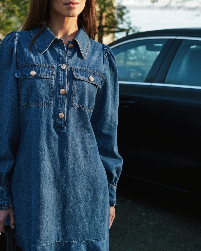 Nikko Denim Dress